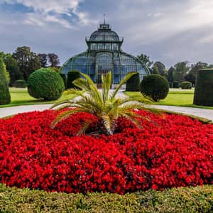 Palmenhaus