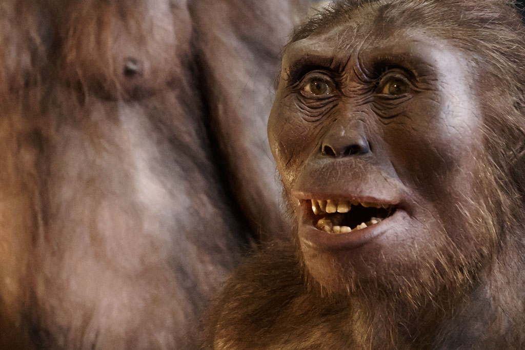 naturhistorisches-museum-erste-menschen