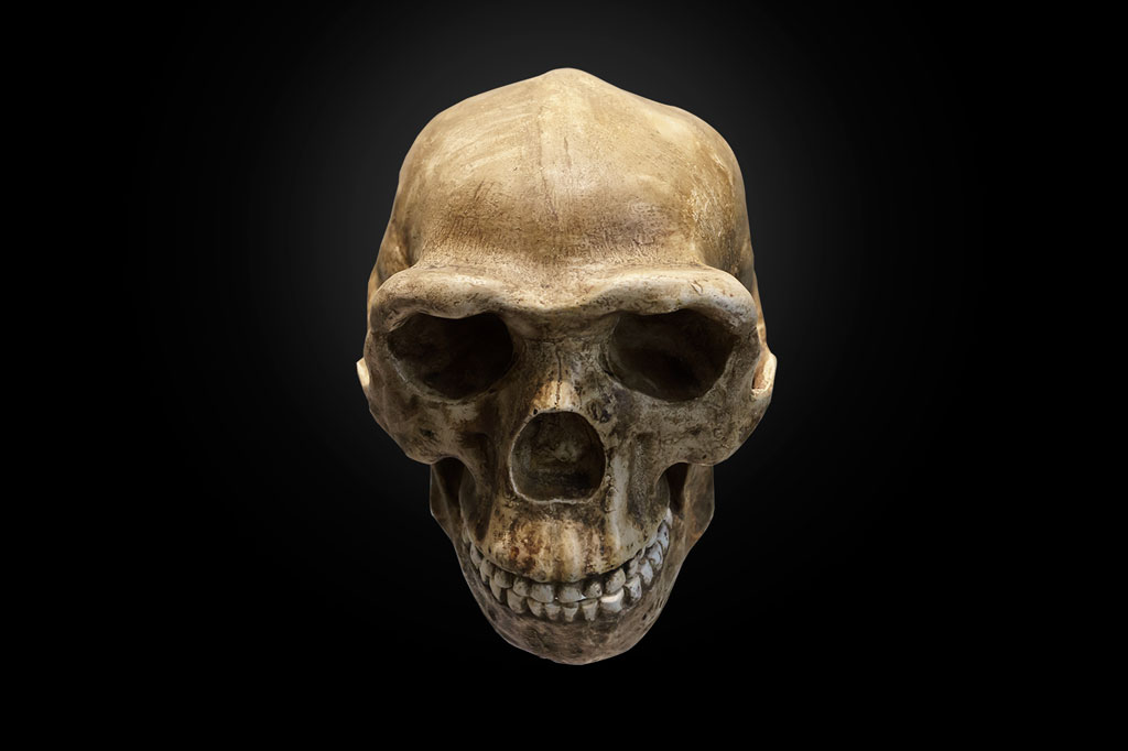 Naturhistorisches Museum