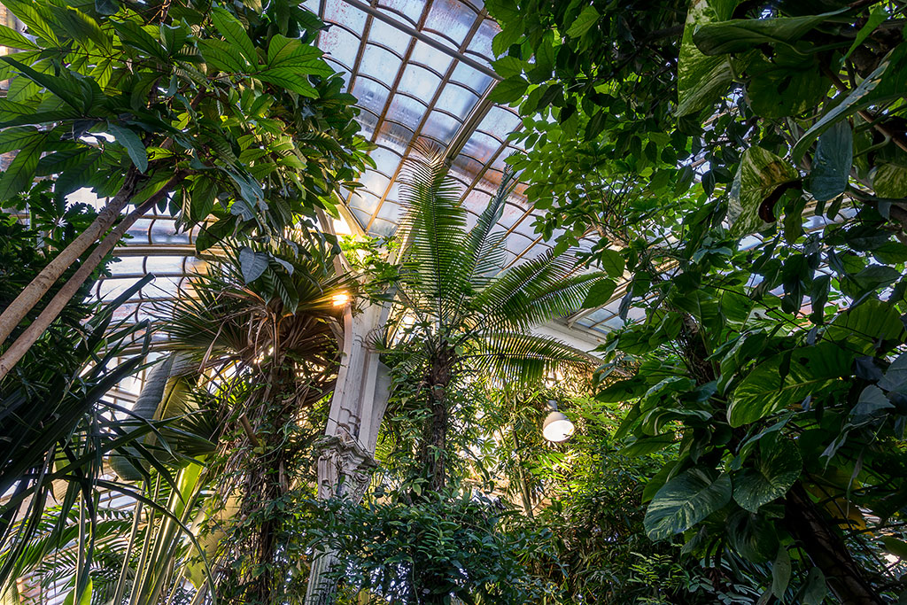 Palmenhaus