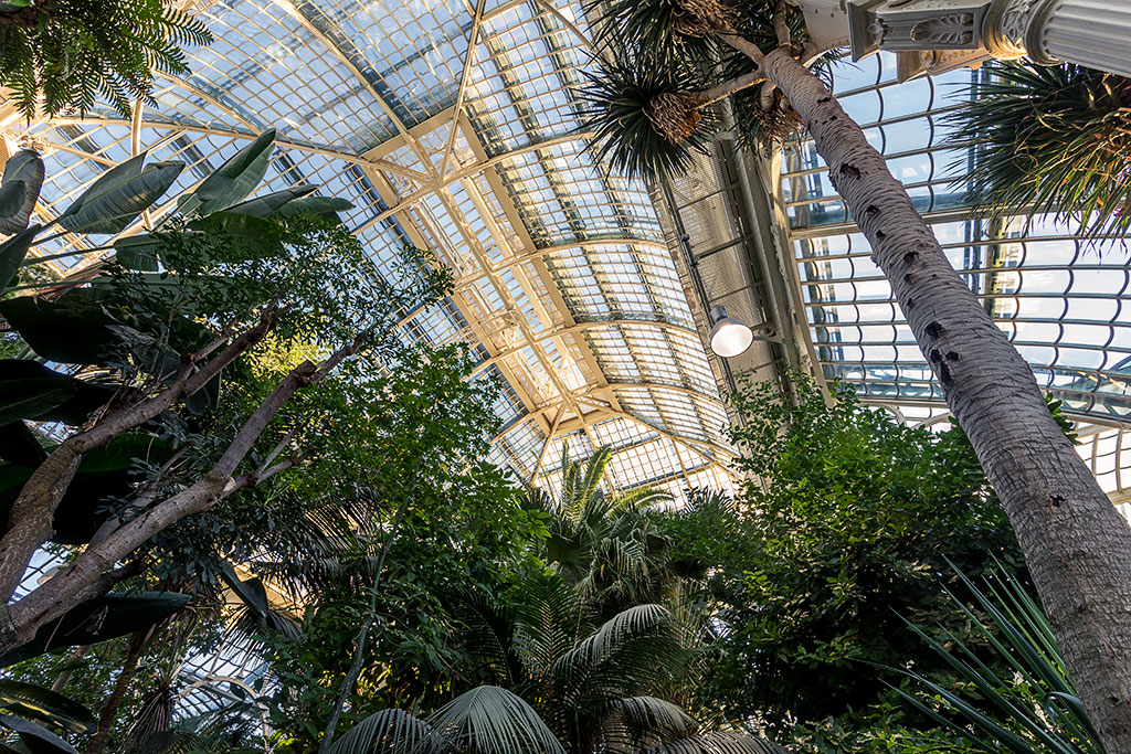 Palmenhaus