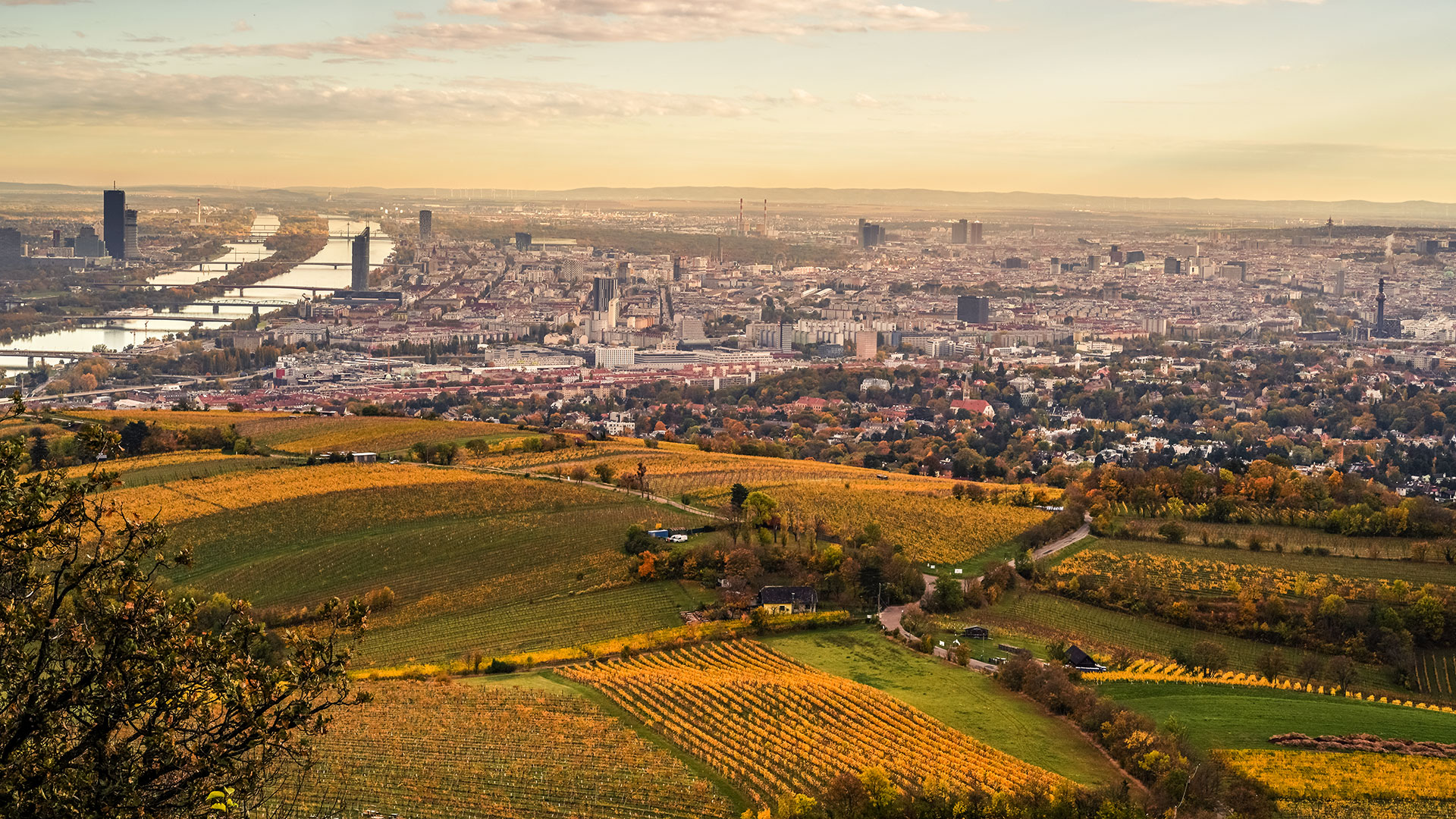 Blick vom Kahlenberg
