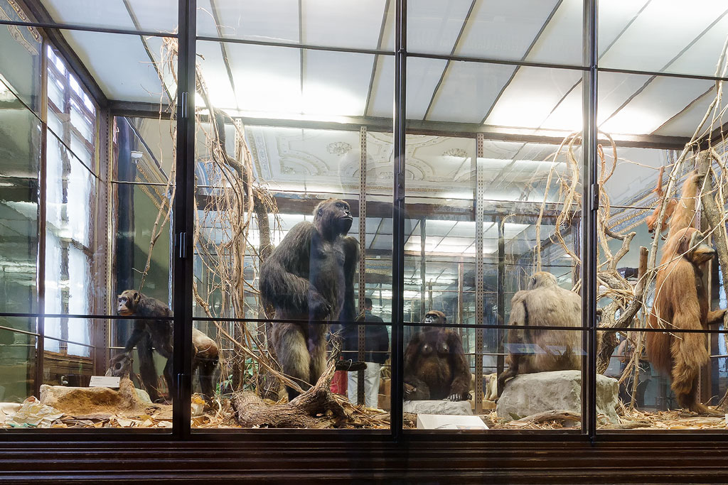 Naturhistorisches Museum