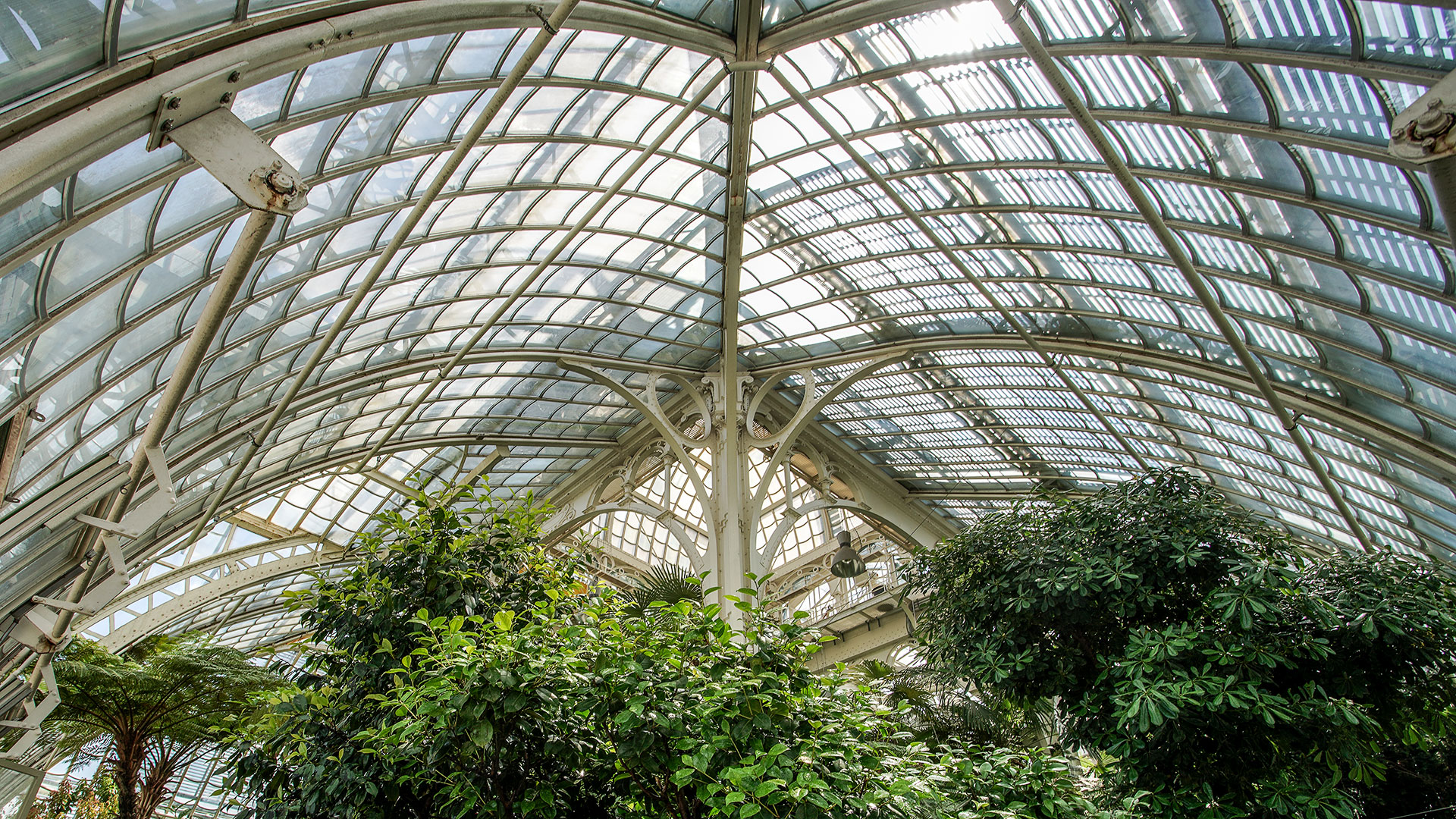 Palmenhaus